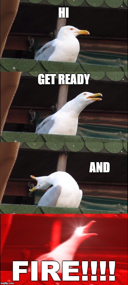 Inhaling Seagull Meme | HI; GET READY; AND; FIRE!!!! | image tagged in memes,inhaling seagull | made w/ Imgflip meme maker