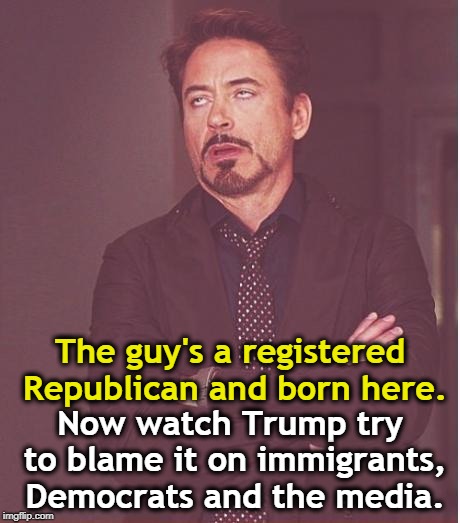 . | The guy's a registered Republican and born here. Now watch Trump try to blame it on immigrants, Democrats and the media. | image tagged in memes,face you make robert downey jr,bomb,trump,republican,immigrants | made w/ Imgflip meme maker