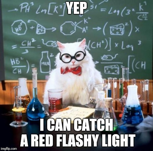 Chemistry Cat Meme | YEP; I CAN CATCH A RED FLASHY LIGHT | image tagged in memes,chemistry cat | made w/ Imgflip meme maker