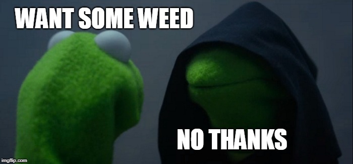 Evil Kermit | WANT SOME WEED; NO THANKS | image tagged in memes,evil kermit | made w/ Imgflip meme maker