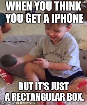 Avocado  | WHEN YOU THINK YOU GET A IPHONE; BUT IT'S JUST A RECTANGULAR BOX. | image tagged in avocado | made w/ Imgflip meme maker