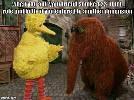 Big Bird And Snuffy Meme | when you and your friend smoked 23 blunt role and both of you entered to another dimension | image tagged in memes,big bird and snuffy | made w/ Imgflip meme maker