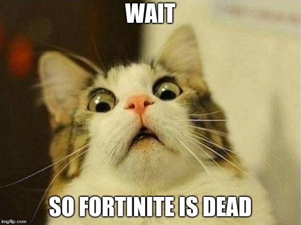 Scared Cat | WAIT; SO FORTINITE IS DEAD | image tagged in memes,scared cat | made w/ Imgflip meme maker