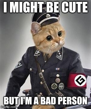 Grammar Nazi Cat | I MIGHT BE CUTE; BUT I'M A BAD PERSON | image tagged in grammar nazi cat | made w/ Imgflip meme maker