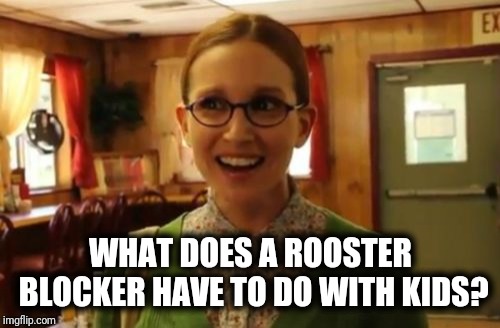 Sexually Oblivious Girlfriend Meme | WHAT DOES A ROOSTER BLOCKER HAVE TO DO WITH KIDS? | image tagged in memes,sexually oblivious girlfriend | made w/ Imgflip meme maker