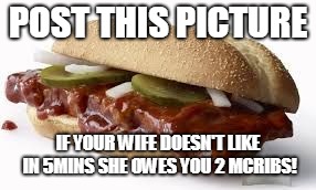 McRib | POST THIS PICTURE; IF YOUR WIFE DOESN'T LIKE IN 5MINS SHE OWES YOU 2 MCRIBS! | image tagged in mcrib | made w/ Imgflip meme maker