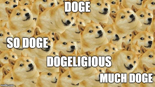 Multi Doge | DOGE; SO DOGE; DOGELIGIOUS; MUCH DOGE | image tagged in memes,multi doge | made w/ Imgflip meme maker