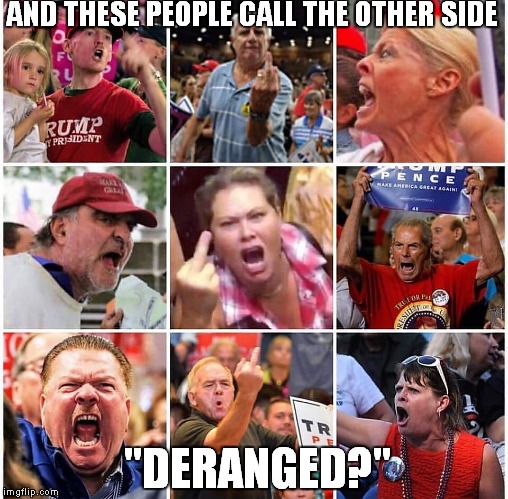 There Are Many "Deranged" People -On Both Sides | AND THESE PEOPLE CALL THE OTHER SIDE; "DERANGED?" | image tagged in donald trump | made w/ Imgflip meme maker