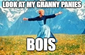 Look At All These | LOOK AT MY GRANNY PANIES; BOIS | image tagged in memes,look at all these | made w/ Imgflip meme maker