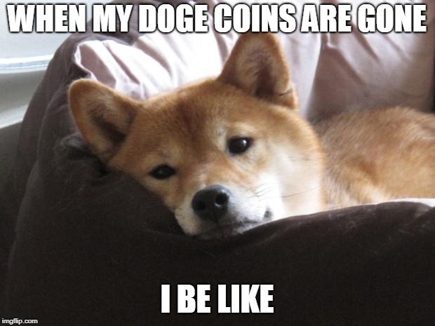 Sad Doge | WHEN MY DOGE COINS ARE GONE; I BE LIKE | image tagged in sad doge | made w/ Imgflip meme maker