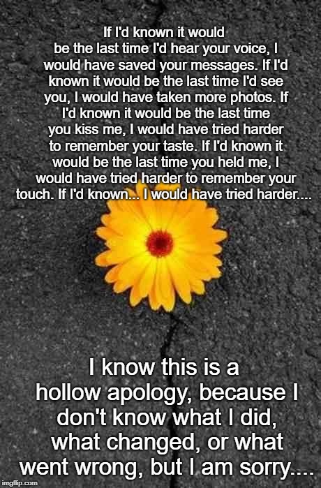 Flower In Concrete | If I'd known it would be the last time I'd hear your voice, I would have saved your messages.
If I'd known it would be the last time I'd see you, I would have taken more photos.
If I'd known it would be the last time you kiss me, I would have tried harder to remember your taste.
If I'd known it would be the last time you held me, I would have tried harder to remember your touch.
If I'd known... I would have tried harder.... I know this is a hollow apology, because I don't know what I did, what changed, or what went wrong, but I am sorry.... | image tagged in flower in concrete | made w/ Imgflip meme maker