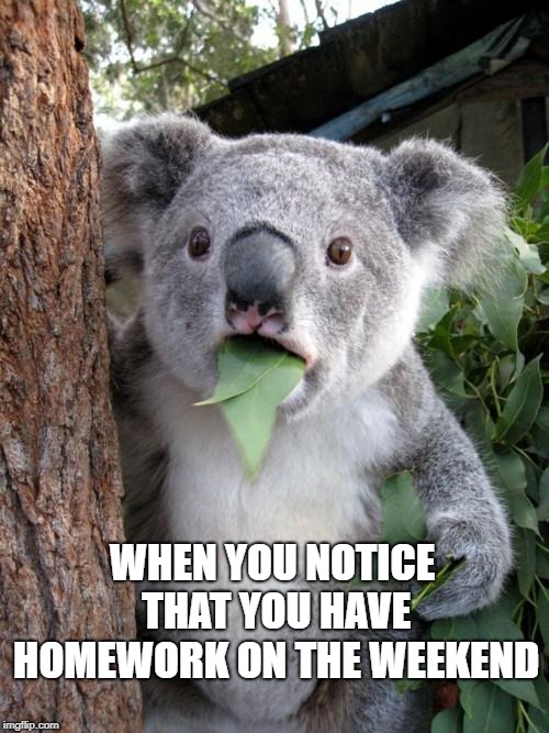 Surprised Koala Meme | WHEN YOU NOTICE THAT YOU HAVE HOMEWORK ON THE WEEKEND | image tagged in memes,surprised koala | made w/ Imgflip meme maker