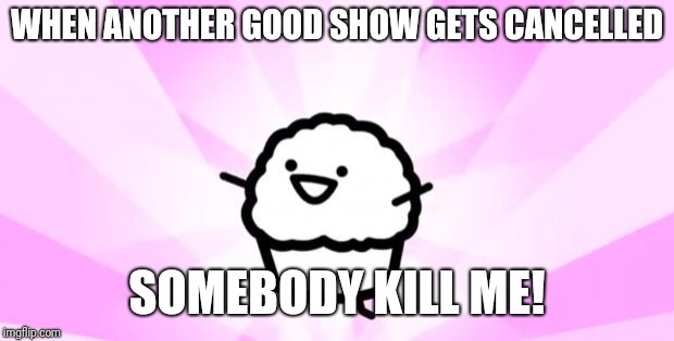 somebody kill me ASDF |  WHEN ANOTHER GOOD SHOW GETS CANCELLED; SOMEBODY KILL ME! | image tagged in somebody kill me asdf,memes | made w/ Imgflip meme maker