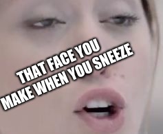 THAT FACE YOU MAKE WHEN YOU SNEEZE | image tagged in sneeze face | made w/ Imgflip meme maker