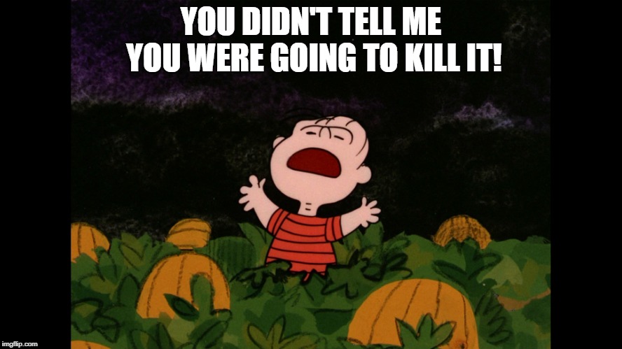 Great Pumpkin | YOU DIDN'T TELL ME YOU WERE GOING TO KILL IT! | image tagged in great pumpkin | made w/ Imgflip meme maker