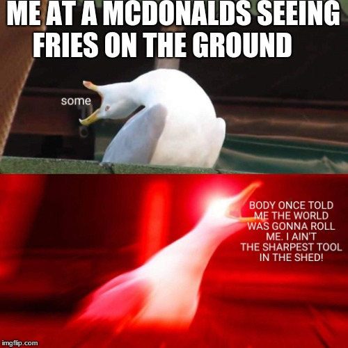 Happy seagull | ME AT A MCDONALDS SEEING FRIES ON THE GROUND | image tagged in inhaling seagull | made w/ Imgflip meme maker