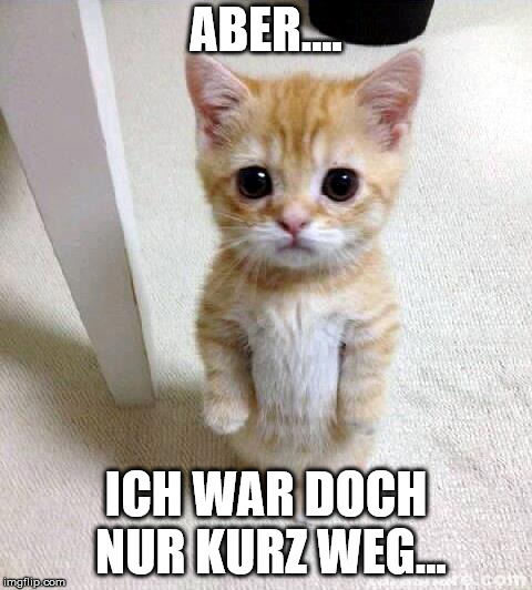 Cute Cat Meme | ABER.... ICH WAR DOCH NUR KURZ WEG... | image tagged in memes,cute cat | made w/ Imgflip meme maker