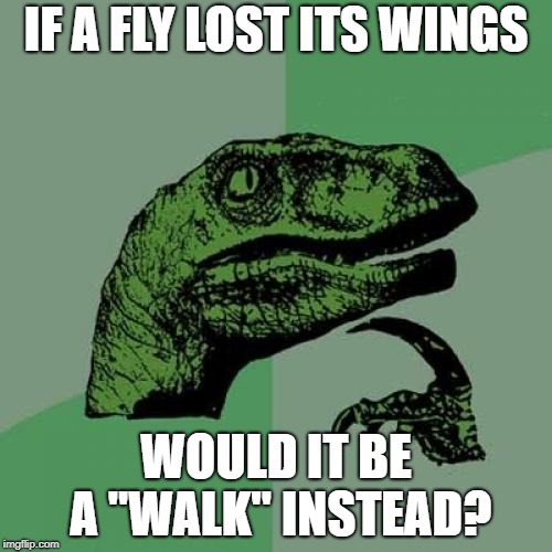 Philosoraptor Meme | IF A FLY LOST ITS WINGS; WOULD IT BE A "WALK" INSTEAD? | image tagged in memes,philosoraptor | made w/ Imgflip meme maker