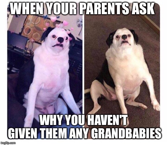 Uh... no reason | WHEN YOUR PARENTS ASK; WHY YOU HAVEN'T GIVEN THEM ANY GRANDBABIES | image tagged in memes,parents,kids | made w/ Imgflip meme maker
