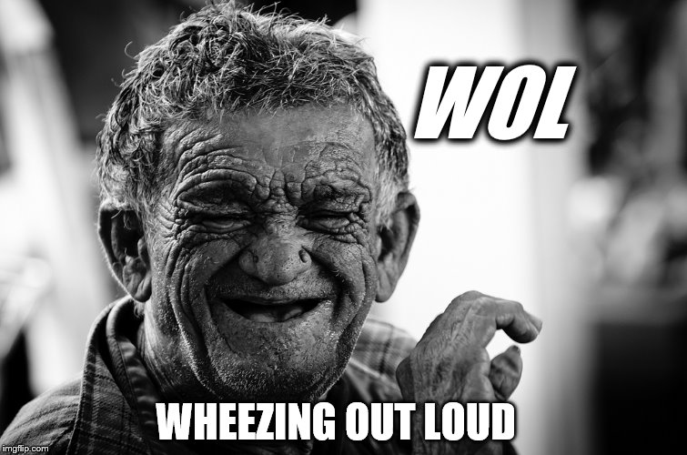 Old man Wheezing Out Loud | WOL WHEEZING OUT LOUD | image tagged in old man wheezing out loud | made w/ Imgflip meme maker