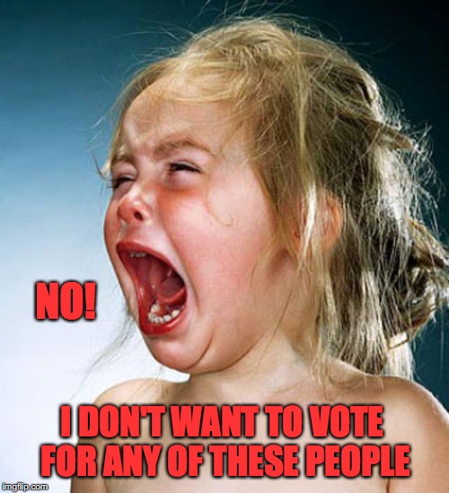 This Sums It All Up | NO! I DON'T WANT TO VOTE FOR ANY OF THESE PEOPLE | image tagged in screaming child,don't want to,vote,people | made w/ Imgflip meme maker