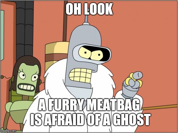 Bender Meme | OH LOOK A FURRY MEATBAG IS AFRAID OF A GHOST | image tagged in memes,bender | made w/ Imgflip meme maker