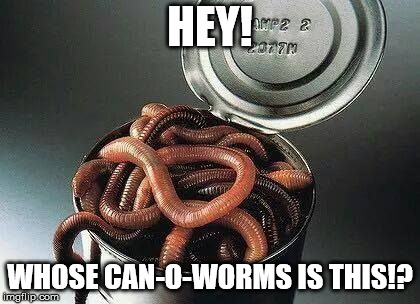 Can of Worms | HEY! WHOSE CAN-O-WORMS IS THIS!? | image tagged in can of worms | made w/ Imgflip meme maker