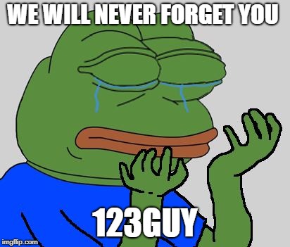 pepe cry | WE WILL NEVER FORGET YOU; 123GUY | image tagged in pepe cry,memes,123guy,goodbye,dank memes,dank meme | made w/ Imgflip meme maker