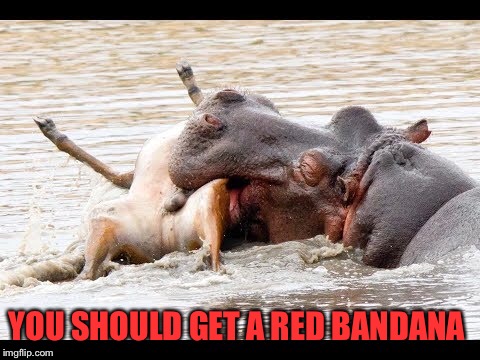 YOU SHOULD GET A RED BANDANA | made w/ Imgflip meme maker