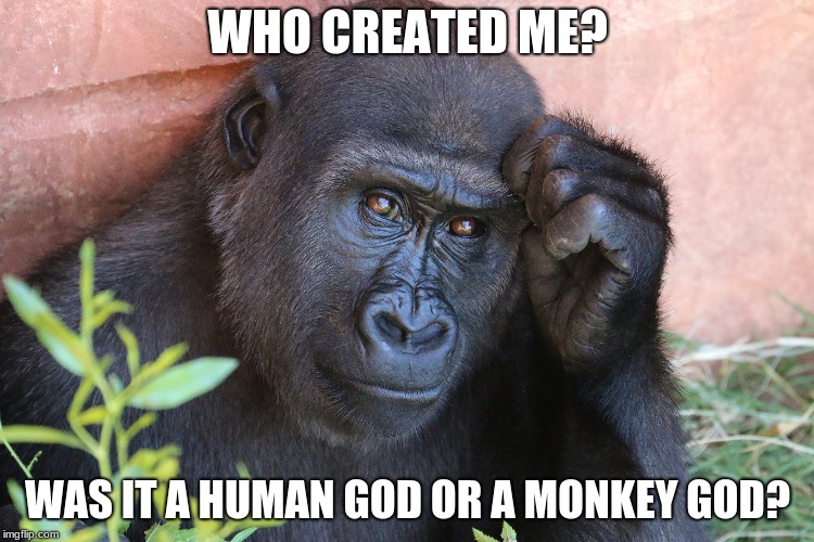 Curious Monkey | WHO CREATED ME? WAS IT A HUMAN GOD OR A MONKEY GOD? | image tagged in monkey,god | made w/ Imgflip meme maker