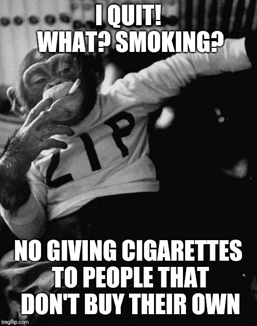 smoking monkey  | I QUIT! WHAT? SMOKING? NO GIVING CIGARETTES TO PEOPLE THAT DON'T BUY THEIR OWN | image tagged in smoking monkey | made w/ Imgflip meme maker