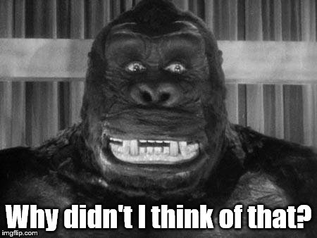 King kong | Why didn't I think of that? | image tagged in king kong | made w/ Imgflip meme maker