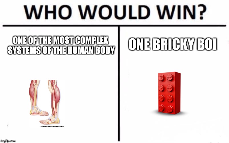 Who Would Win? | ONE BRICKY BOI; ONE OF THE MOST COMPLEX SYSTEMS OF THE HUMAN BODY | image tagged in memes,who would win | made w/ Imgflip meme maker