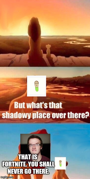Simba Shadowy Place Meme | THAT IS FORTNITE. YOU SHALL NEVER GO THERE. | image tagged in memes,simba shadowy place | made w/ Imgflip meme maker