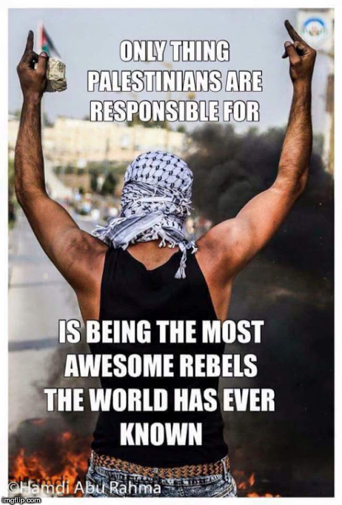 O | image tagged in badass palestine | made w/ Imgflip meme maker