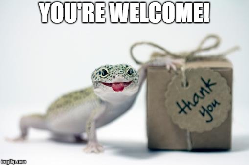 YOU'RE WELCOME! | made w/ Imgflip meme maker