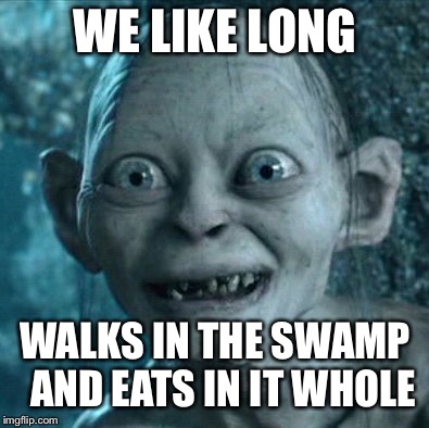 Gollum Meme | WE LIKE LONG; WALKS IN THE SWAMP 
AND EATS IN IT WHOLE | image tagged in memes,gollum | made w/ Imgflip meme maker