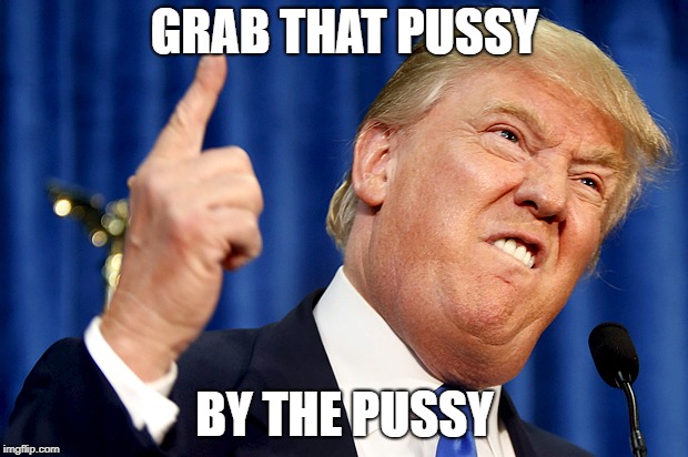 Donald Trump | GRAB THAT PUSSY BY THE PUSSY | image tagged in donald trump | made w/ Imgflip meme maker