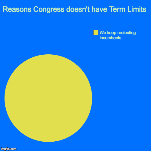 Reasons Congress doesn't have Term Limits | We keep reelecting incumbents | image tagged in funny,pie charts | made w/ Imgflip chart maker