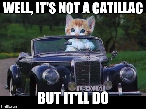 Cats are so finicky | WELL, IT'S NOT A CATILLAC; BUT IT'LL DO | image tagged in cats and cars | made w/ Imgflip meme maker