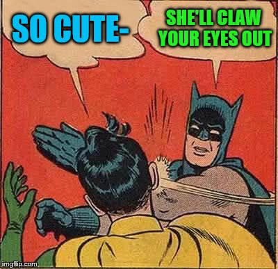 Batman Slapping Robin Meme | SO CUTE- SHE'LL CLAW YOUR EYES OUT | image tagged in memes,batman slapping robin | made w/ Imgflip meme maker