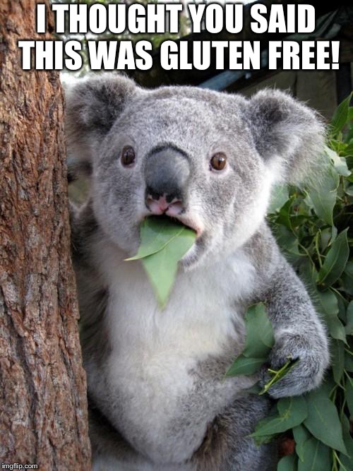 Surprised Koala Meme | I THOUGHT YOU SAID THIS WAS GLUTEN FREE! | image tagged in memes,surprised koala | made w/ Imgflip meme maker
