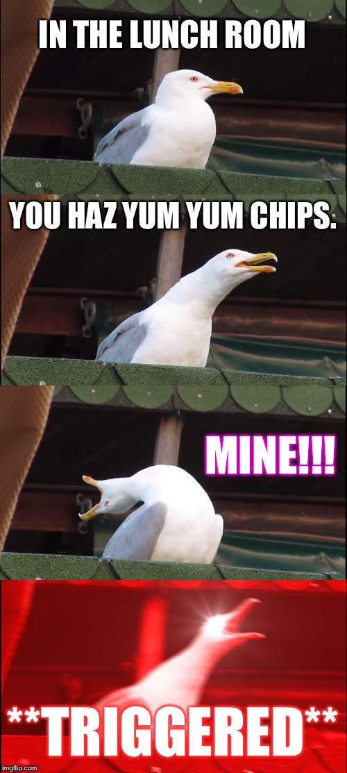 Inhaling Seagull Meme | IN THE LUNCH ROOM; YOU HAZ YUM YUM CHIPS. MINE!!! **TRIGGERED** | image tagged in memes,inhaling seagull | made w/ Imgflip meme maker