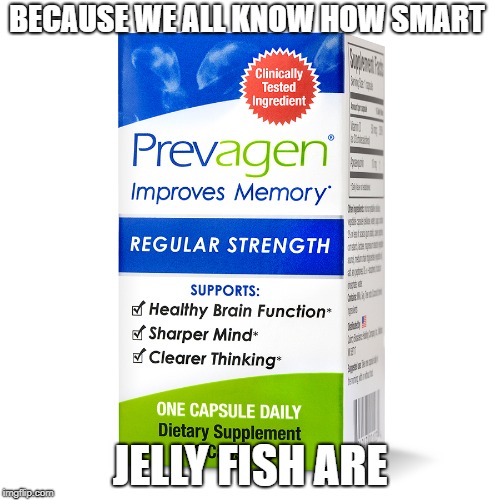 BECAUSE WE ALL KNOW HOW SMART; JELLY FISH ARE | image tagged in products,advertising,scam | made w/ Imgflip meme maker