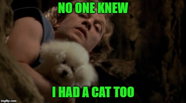 Silence of the lambs lotion | NO ONE KNEW I HAD A CAT TOO | image tagged in silence of the lambs lotion | made w/ Imgflip meme maker