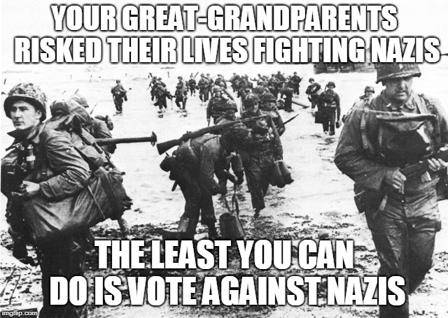YOUR GREAT-GRANDPARENTS RISKED THEIR LIVES FIGHTING NAZIS; THE LEAST YOU CAN DO IS VOTE AGAINST NAZIS | image tagged in nazis | made w/ Imgflip meme maker