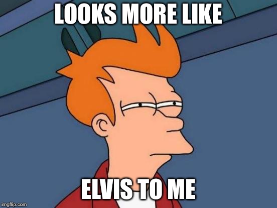 Futurama Fry Meme | LOOKS MORE LIKE ELVIS TO ME | image tagged in memes,futurama fry | made w/ Imgflip meme maker