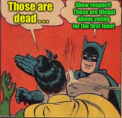 Batman Slapping Robin Meme | Those are dead . . . Show respect!  These are Illegal aliens voting for the first time! | image tagged in memes,batman slapping robin | made w/ Imgflip meme maker