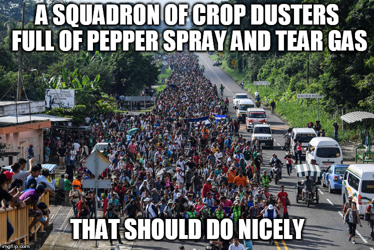 immigrant caravan | A SQUADRON OF CROP DUSTERS FULL OF PEPPER SPRAY AND TEAR GAS; THAT SHOULD DO NICELY | image tagged in immigrant caravan | made w/ Imgflip meme maker