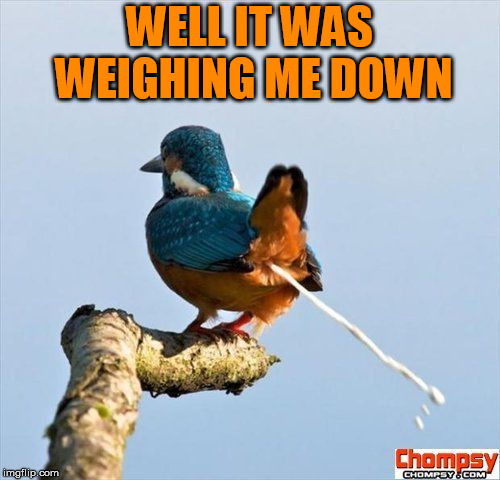 Bird pooping | WELL IT WAS WEIGHING ME DOWN | image tagged in bird pooping | made w/ Imgflip meme maker